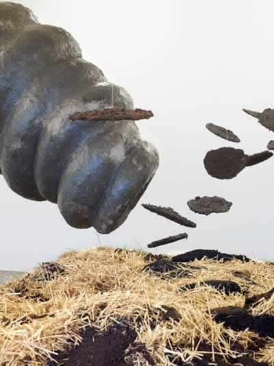 Tennesse wiggler the big fat worm aka le lombric cosmique - KLAT